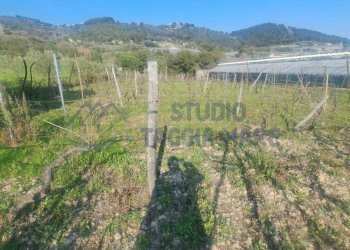 3.jpeg - Agricultural land Strada Collette Beulle, Sanremo - photo 3