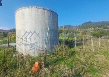 4.jpeg - Agricultural land Strada Collette Beulle, Sanremo - photo 4