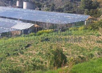 10.jpeg - Agricultural land Strada Collette Beulle, Sanremo - photo 9
