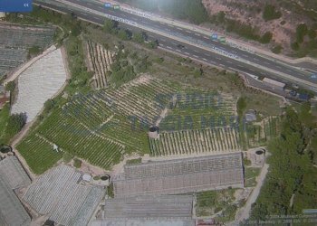 DSCN3407 2.JPG - Agricultural land Strada Collette Beulle, Sanremo - photo 13