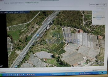 IMGP7499.JPG - Agricultural land Strada Collette Beulle, Sanremo - photo 15