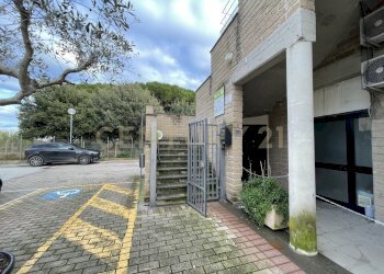 IMG_4830.jpeg - Office Via de Barberi 108, Grosseto - photo 1