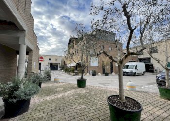 IMG_4832.jpeg - Office Via de Barberi 108, Grosseto - photo 2