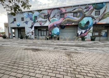 IMG_4861.jpeg - Office Via de Barberi 108, Grosseto - photo 12