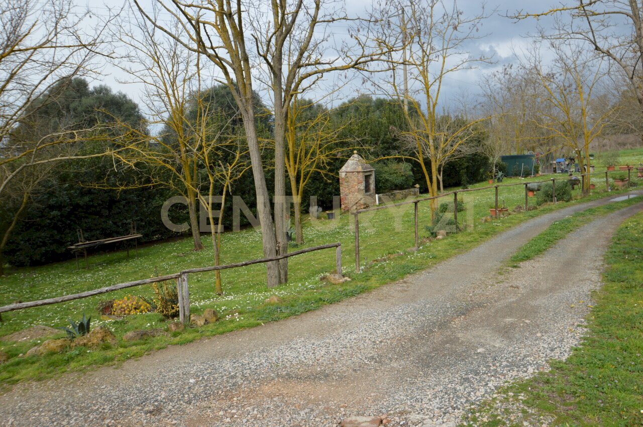 DSC_0267.jpg - Rustic Via Maria Alessandra Barbantini 8, Grosseto - photo 2