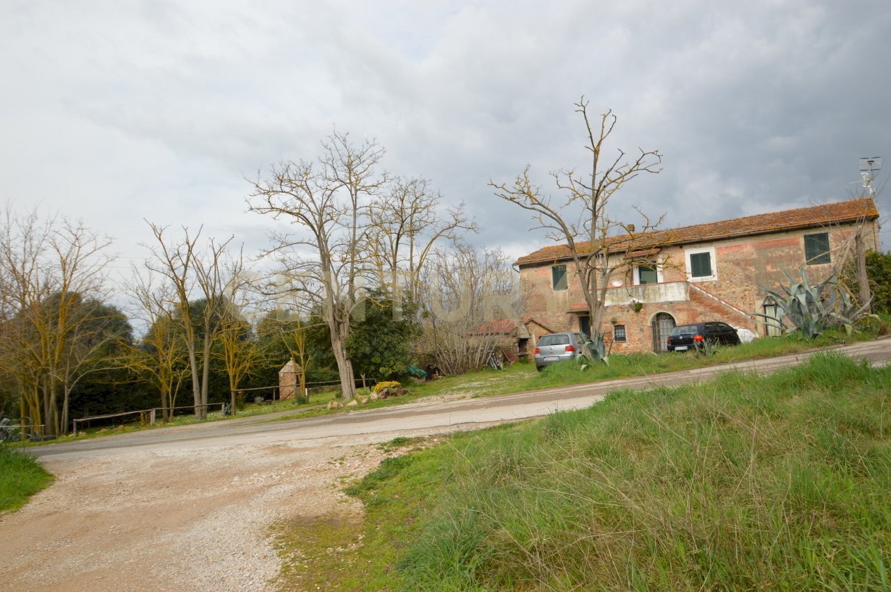 DSC_0265.jpg - Rustic Via Maria Alessandra Barbantini 8, Grosseto - photo 3