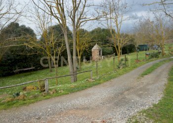 DSC_0267.jpg - Rustic Via Maria Alessandra Barbantini 8, Grosseto - photo 2