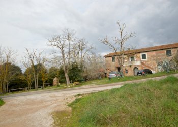 DSC_0265.jpg - Rustic Via Maria Alessandra Barbantini 8, Grosseto - photo 3