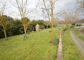 DSC_0270.jpg - Rustic Via Maria Alessandra Barbantini 8, Grosseto - photo 5