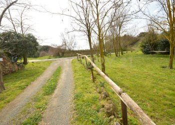 DSC_0284.jpg - Rustic Via Maria Alessandra Barbantini 8, Grosseto - photo 12