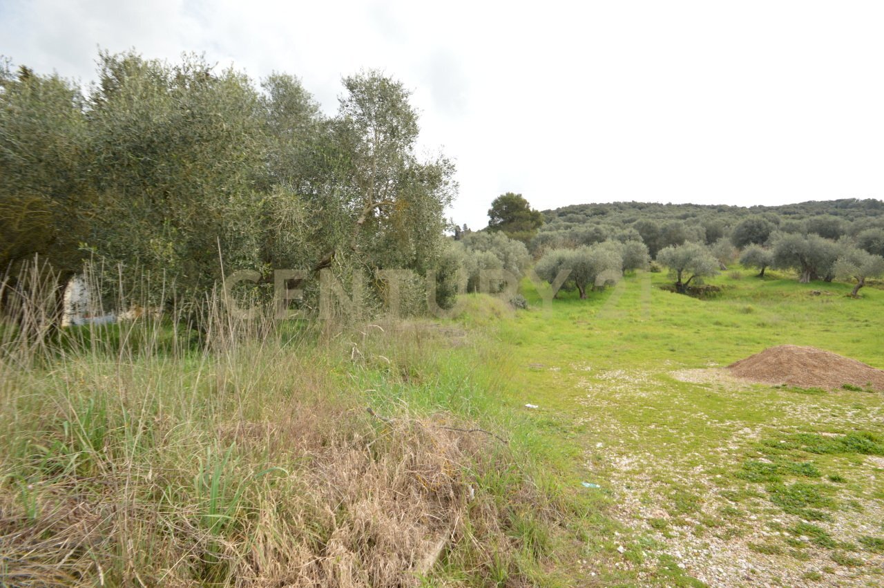 DSC_0259.jpg - Porzione di casa Via Aurelia Sud 106, Grosseto - foto 3