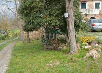 DSC_0268.jpg - Porzione di casa Via Aurelia Sud 106, Grosseto - foto 2