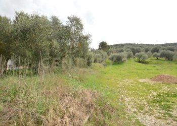 DSC_0259.jpg - Porzione di casa Via Aurelia Sud 106, Grosseto - foto 3