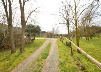 DSC_0285.jpg - Porzione di casa Via Aurelia Sud 106, Grosseto - foto 7