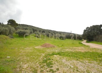 DSC_0261.jpg - Portion of a house Via Aurelia Sud 112, Grosseto - photo 17