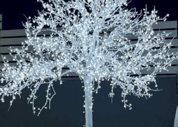 06fcbb83-e95b-4457-b6fa-9512dbfa68f9.jpg - Casa semi indipendente Altavilla Milicia - foto 24