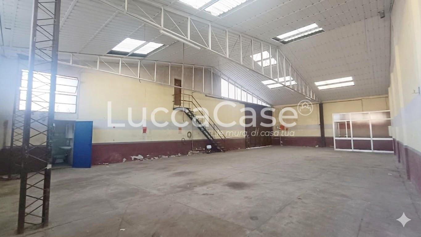 Shed Capannori - photo 2