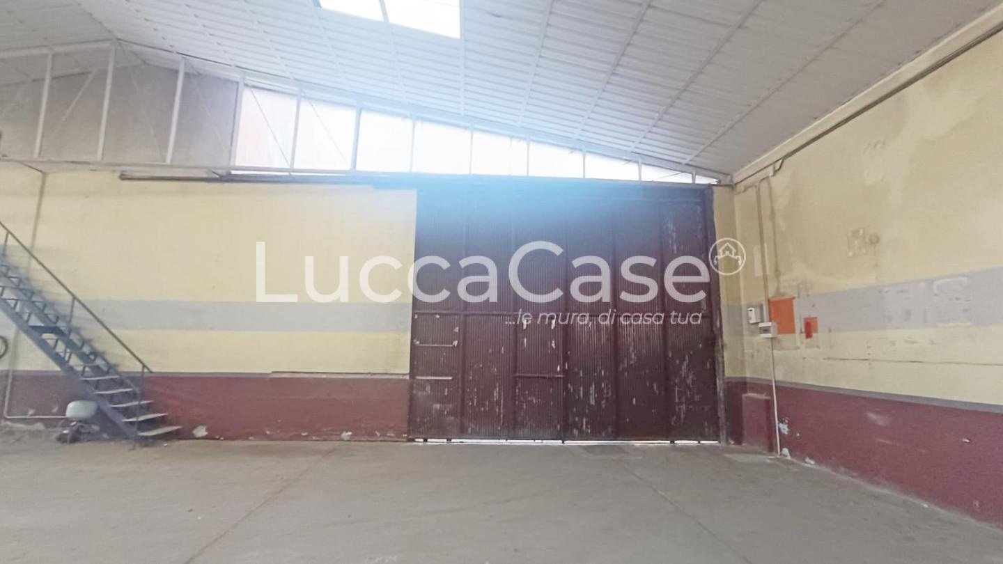 Shed Capannori - photo 3