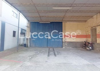 Shed Capannori - photo 6