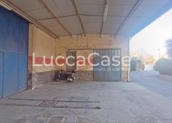 Shed Capannori - photo 7