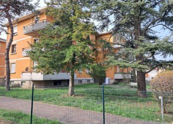 20260304_111034.jpg - Trilocale Via Ragazzi del '99 9, Parma (zona Fognano) - foto 3