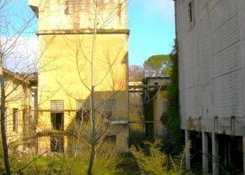 DSCN2551.JPG - Stable - Palace Ceprano - photo 8