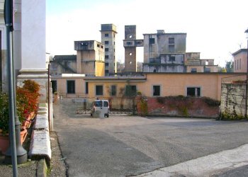 DSCN2536.JPG - Stable - Palace Ceprano - photo 9