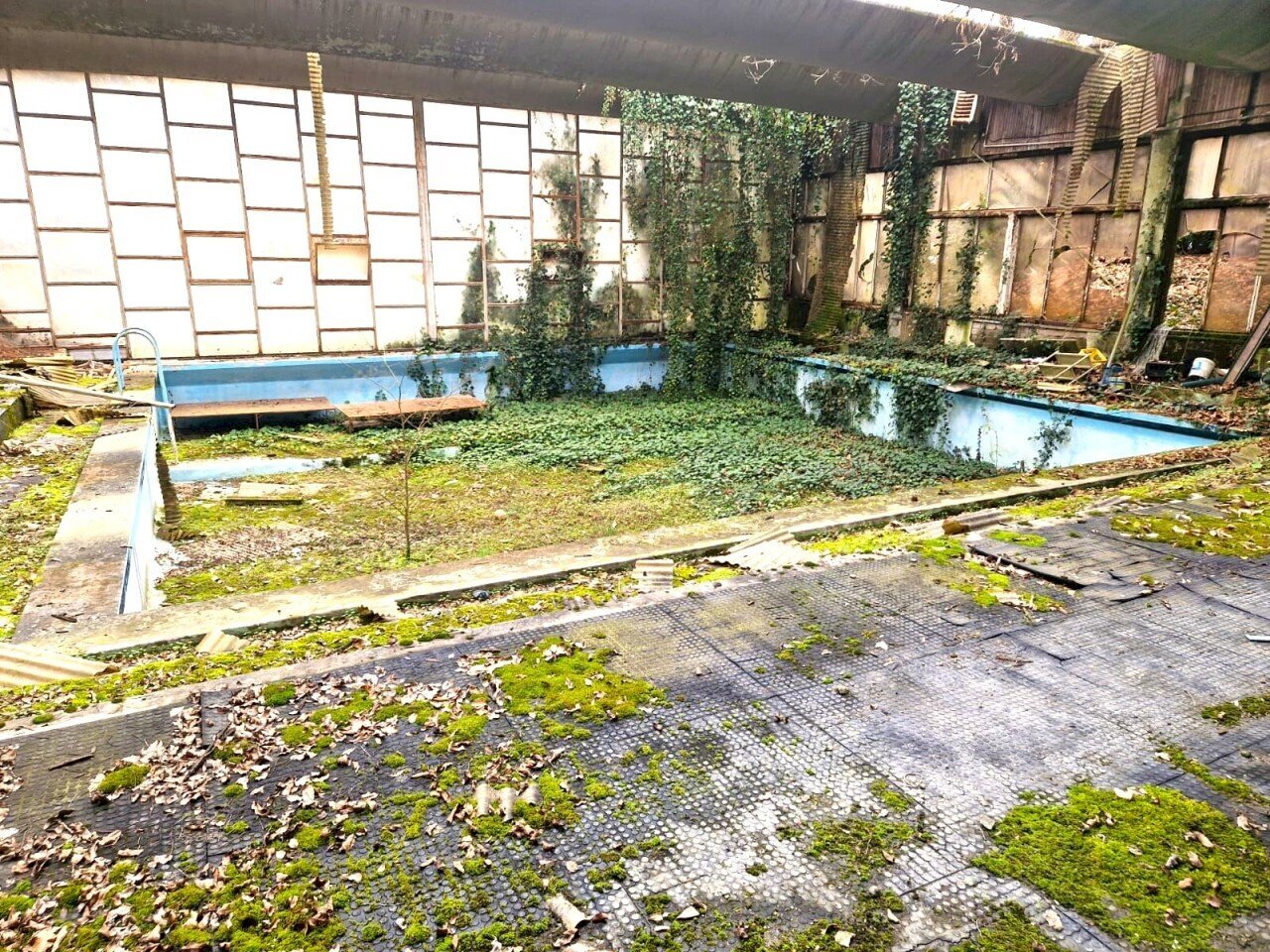 a066cfaa-ec5a-4409-a6a0-6c95dfadf362.jpg - Laboratorio Fiuggi - foto 2