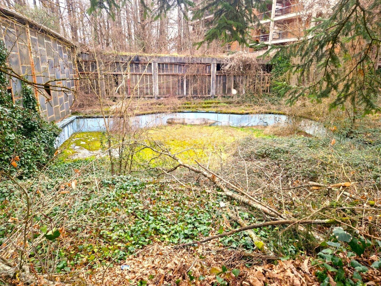 40e76272-6a73-416a-aa0c-7b65f7aab9d0.jpg - Laboratorio Fiuggi - foto 3