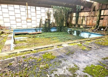 a066cfaa-ec5a-4409-a6a0-6c95dfadf362.jpg - Laboratorio Fiuggi - foto 2