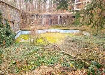 40e76272-6a73-416a-aa0c-7b65f7aab9d0.jpg - Laboratorio Fiuggi - foto 3