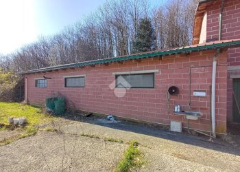 Casa indipendente Via martiri del turchino, Busalla - foto 1