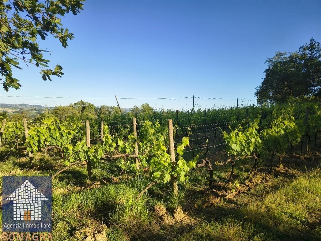 Terreno agricolo Forlì - foto 1