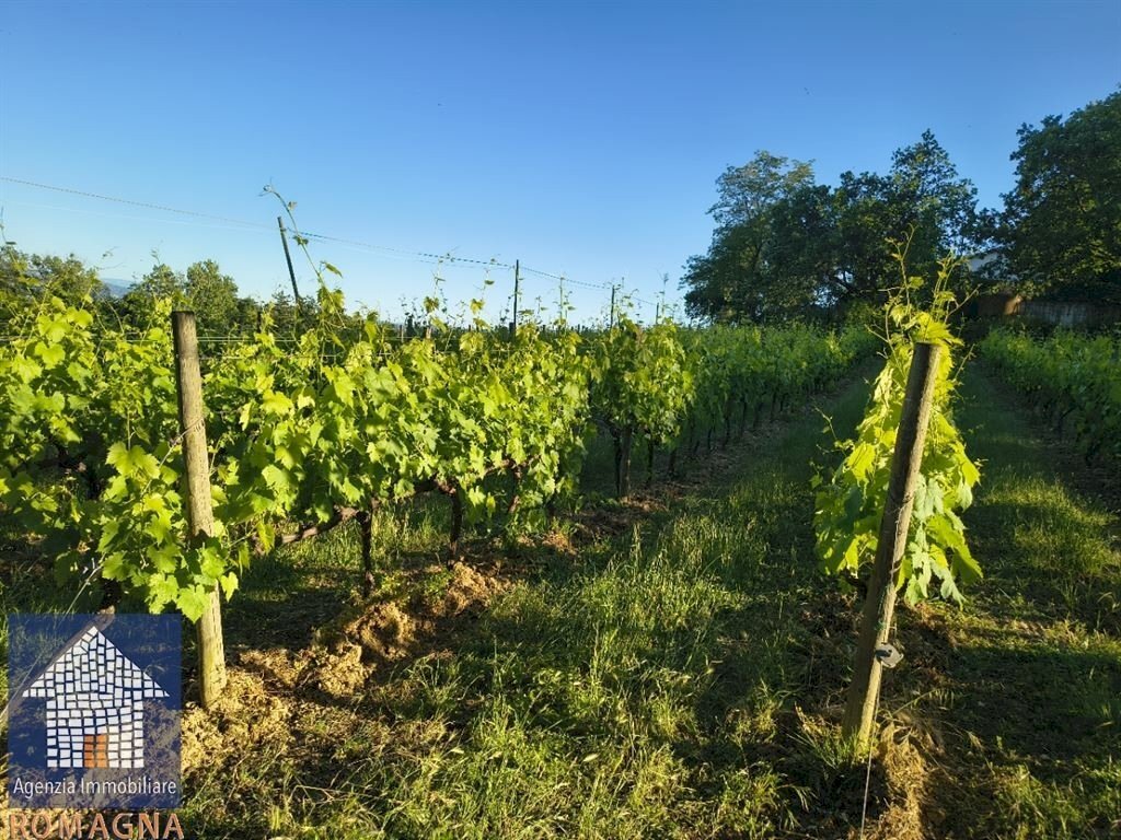 Terreno agricolo Forlì - foto 2