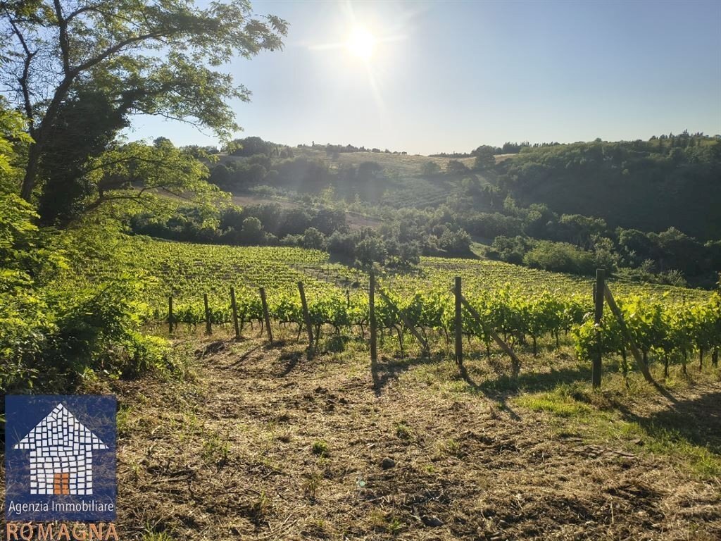 Terreno agricolo Forlì - foto 3