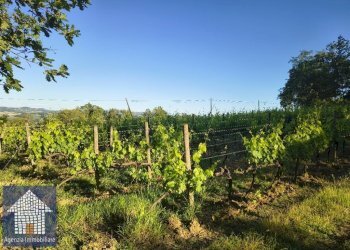 Terreno agricolo Forlì - foto 1