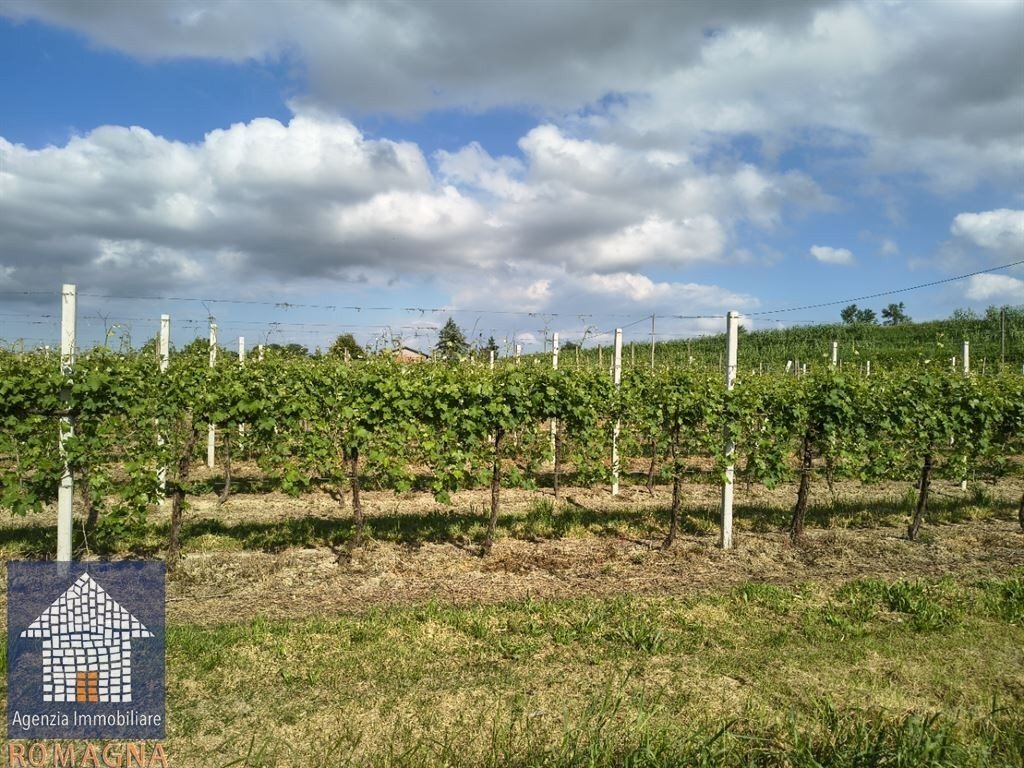 Azienda agricola Ravenna - foto 1