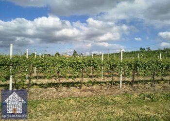 Azienda agricola Ravenna - foto 1