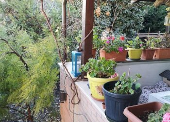 Casa semi indipendente Russi - foto 5