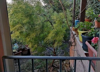 Casa semi indipendente Russi - foto 6