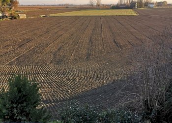 Casa semi indipendente Russi - foto 18