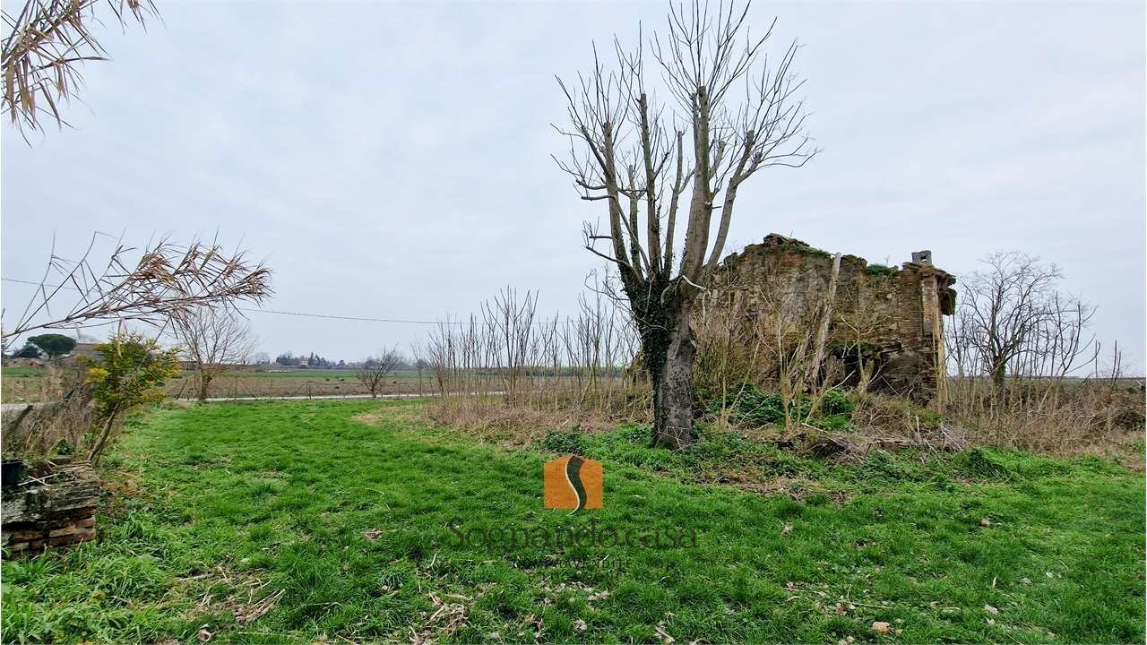 Casa indipendente SP24, Ravenna - foto 2