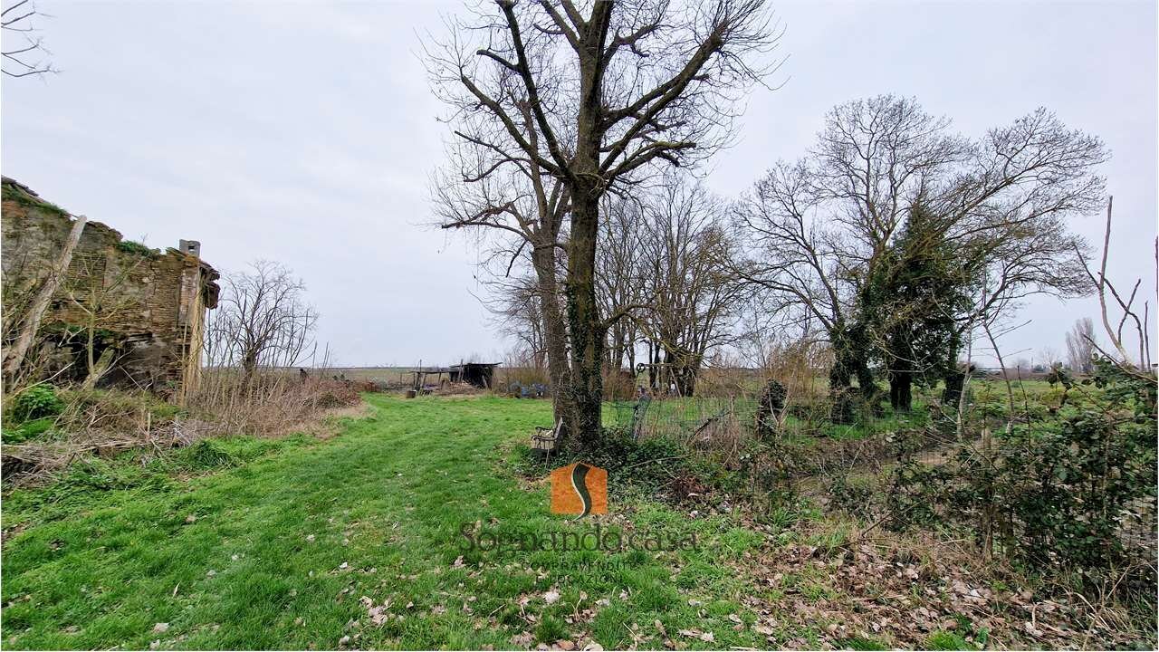 Casa indipendente SP24, Ravenna - foto 3