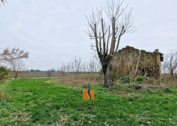 Casa indipendente SP24, Ravenna - foto 2