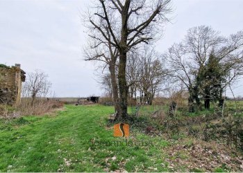 Casa indipendente SP24, Ravenna - foto 3