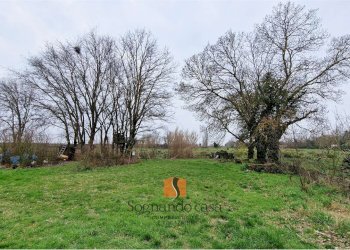 Casa indipendente SP24, Ravenna - foto 4