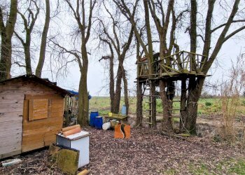 Casa indipendente SP24, Ravenna - foto 10