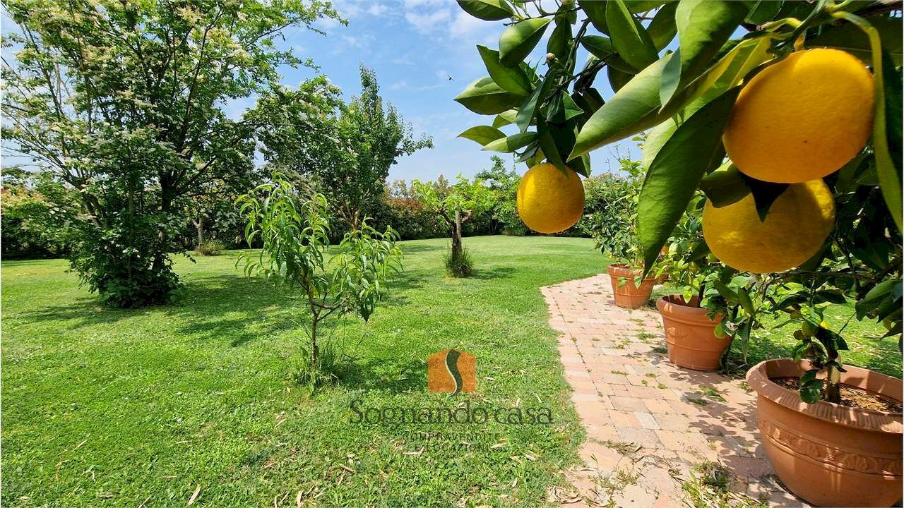 Casa indipendente Via Basilica, Ravenna - foto 1