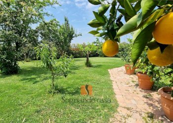 Casa indipendente Via Basilica, Ravenna - foto 1