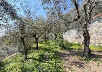 Villa Via Ottone I, Alassio - foto 15